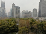 微信图片_20190325175358 - 副本.jpg