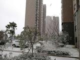 微信图片_20180310233329.jpg